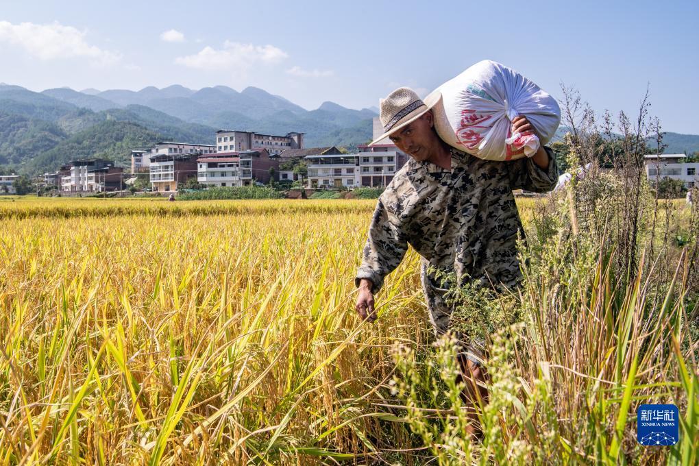 太阳游戏下载